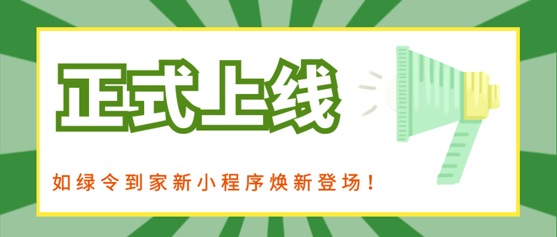 上海络程网络技术有限公司：打造卓越技术团队的关键